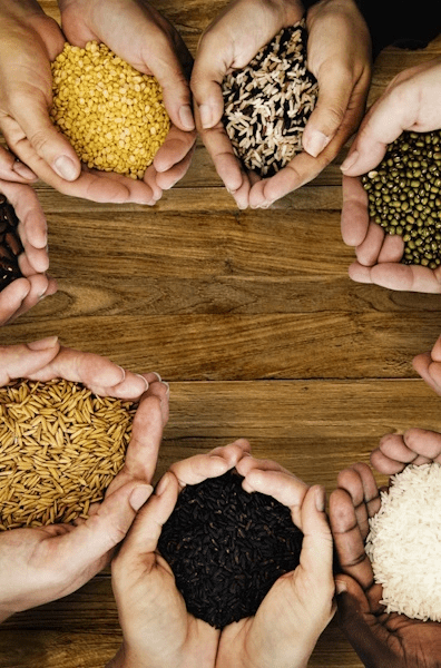 Animal Nutrition & Feed
